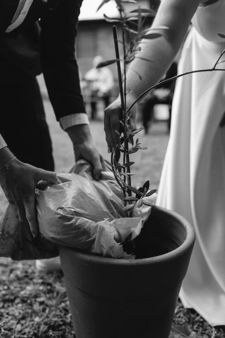 Casamento de Ana e Fred: cerimônia ao ar livre