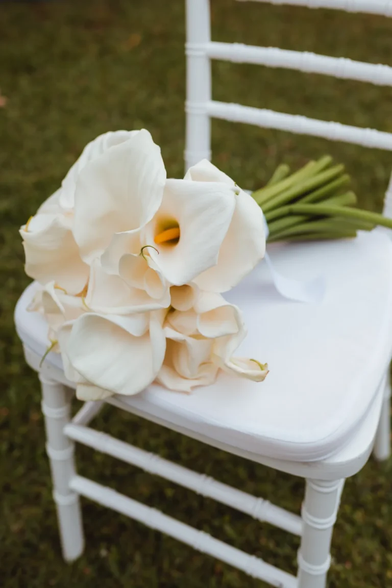 Casamento de Thais e Mateus: retratos dos noivos